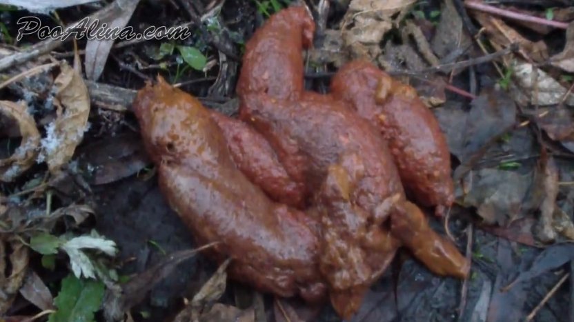 Dirty Alina Pooping in Panties - HD-1080p (PooAlina) Dirty Alina Pooping in Panties - HD-1080p (PooAlina)