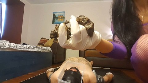 Sexy Hot Girls Kidniping Toilet Latring Videos - Mistress Antonella Silicone â€“ Pooping on my slave's face â€“ IMG 5 - Free  Extreme Scat